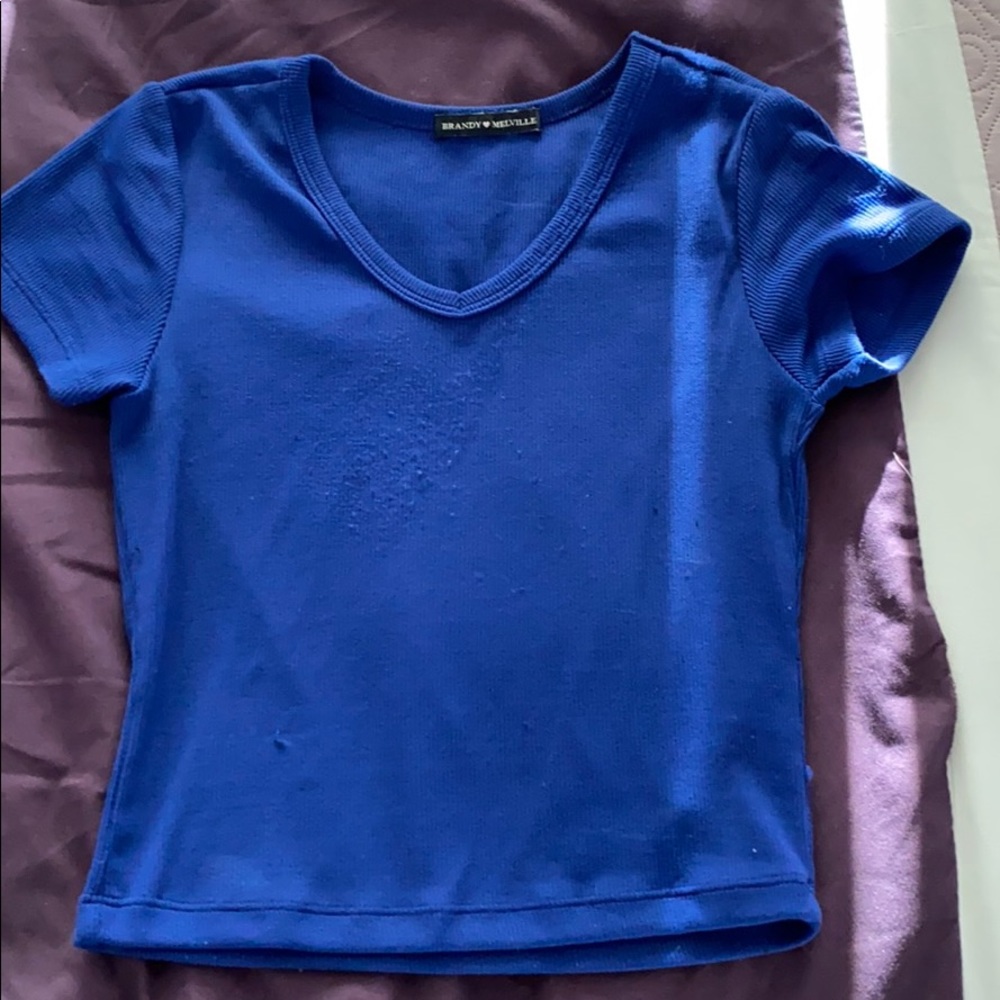 Brandy Melville Blue top